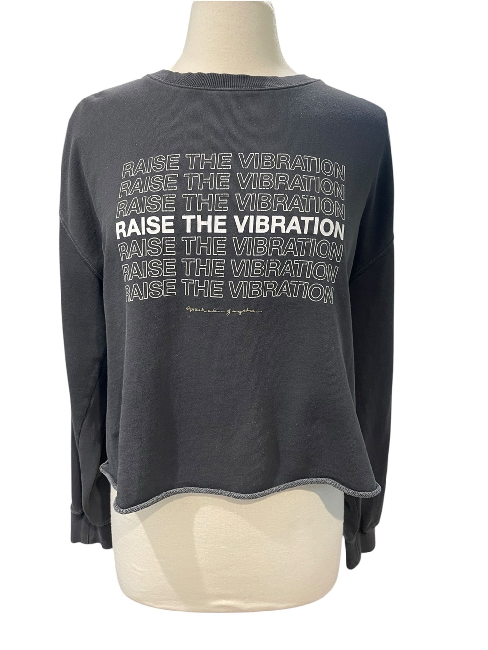 Spiritual Gangster RAISE THE VIBRATION Graphic Cropped Sweatshirt SZ L